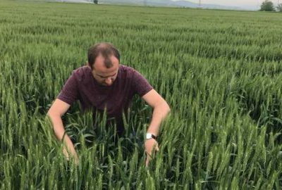 Bilinçsiz ilaçlama doğal dengeye tehdit