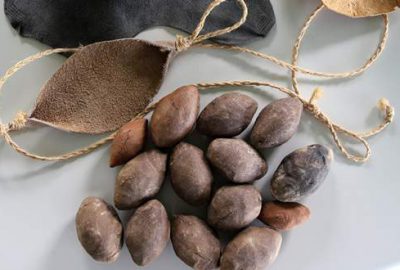 Aerodinamik özellikli 8 bin 500 yıllık sapan taneleri