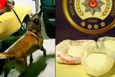 Zehir tacirlerine ‘Alfa’dan geçit yok