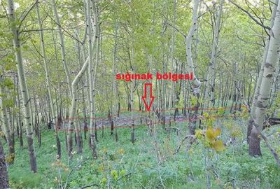 Bitlis’teki terör operasyonunda 8 odalı sığınak imha edildi