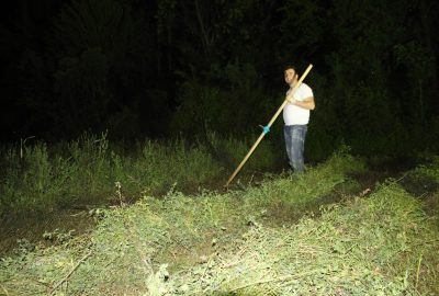 Çiftçiler işlerini iftar sonrasına bıraktı