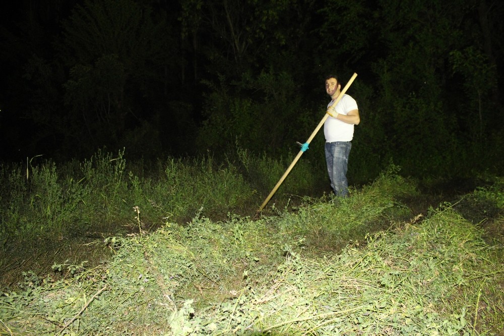 Çiftçiler işlerini iftar sonrasına bıraktı