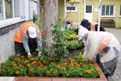 Bozüyük’te 26 camiye 10 bin çiçek