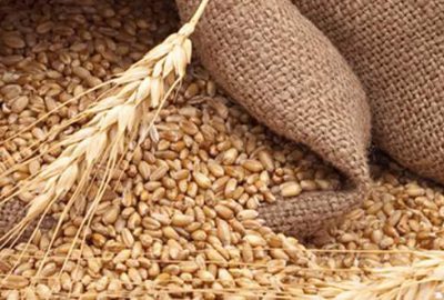 Rusya’dan ‘tahıl’ itirafı