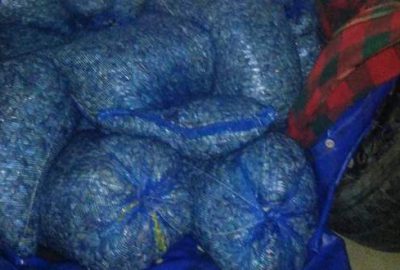 Jandarmadan kaçak midye operasyonu