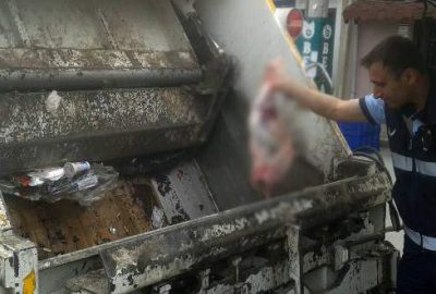 Bursa’da kaçak et operasyonu