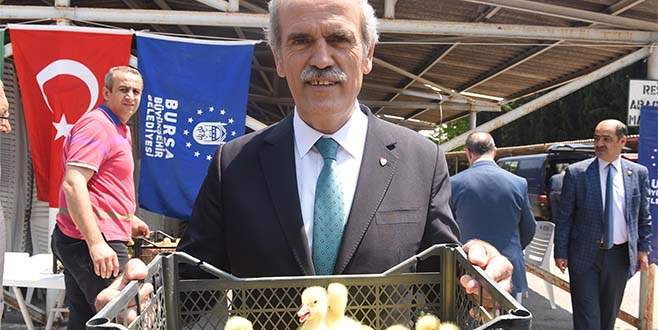 Bursa’da hayvansal üretimde çeşitlilik artıyor