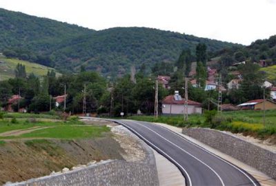 Köyde telef olan köpekler vatandaşları endişelendiriyor