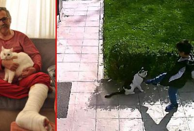 Kediyi tekmelemek isteyen çocuğu uyardığı için dayak yedi