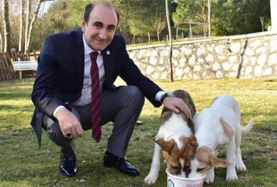 Yıldırım’da sokak hayvanlarına bir kap mutluluk