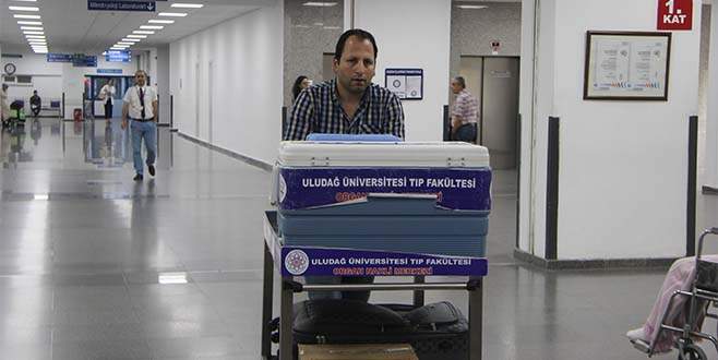 Bursa’da 2 hastaya böbrek 1 hastaya karaciğer müjdesi