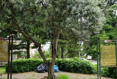 Barışın 18 yıllık anıtı