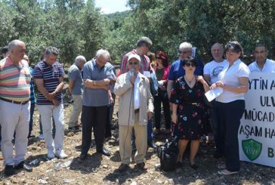 Mudanya’da zeytin düzenlemesine tepki