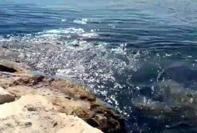 İzmir’de depremden sonra çekilen görüntüler şaşırttı!