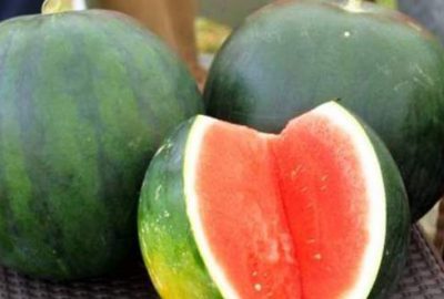 Çekirdeksiz karpuza rağbet arttı