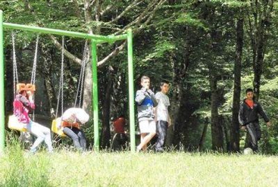 Ağacın tek dalını koparana 3 bin lira ceza