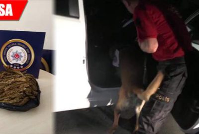 ‘Alfa’ otomobile gizlenen uyuşturucuyu buldu