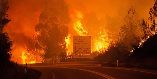 Portekiz’de orman yangını: 39 ölü