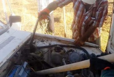 Otomobiline 2 metrelik yılan girdi