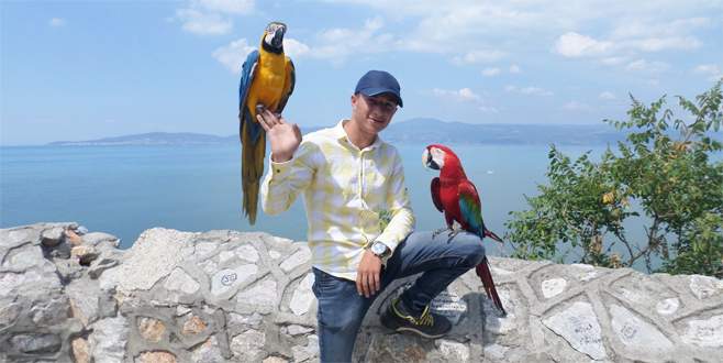 Bursa’da para kazandıran papağanlar