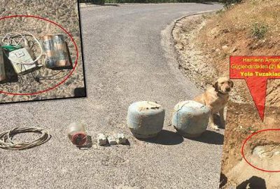 Yola tuzaklanan 100 kilogramlık patlayıcı imha edildi