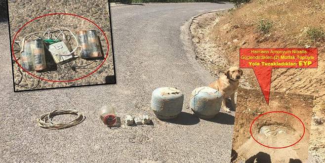 Yola tuzaklanan 100 kilogramlık patlayıcı imha edildi