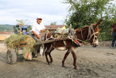 Bu da eşek arabası