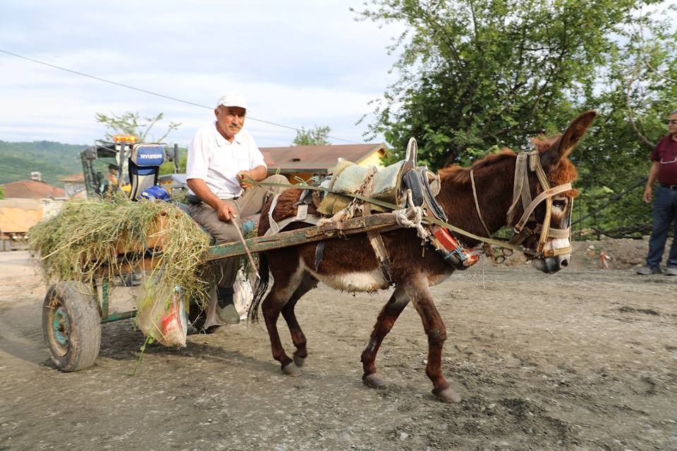 Bu da eşek arabası Bu da eşek arabası