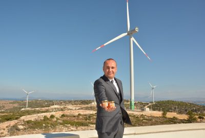 Doğal yaşam parkı hedefiyle yola çıktı, santralde bal ve süt üretti