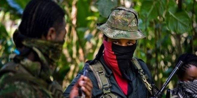 Hollandalı gazetecileri kaçırdılar