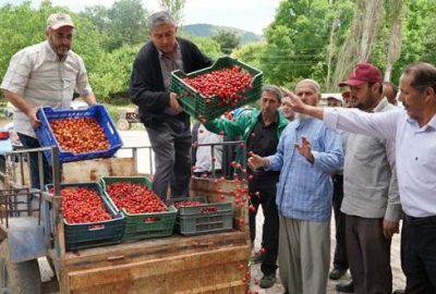 Kozağacı kasa boşalttı