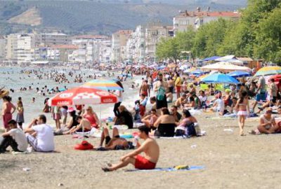 Bursa sahillerinden sevindirici haber