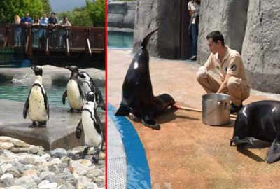 Bursa Zoo’nun yeni misafirleri