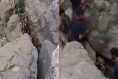 TSK, teslim alınan teröristlerin görüntülerini paylaştı