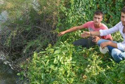 Karadere’de balık ölümleri korkuttu