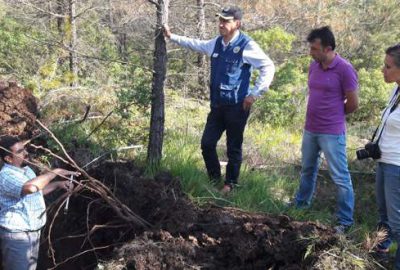 Ormanlarda lokal kurumalara inceleme