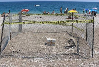 Caretta caretta yumurtalarına polis koruması