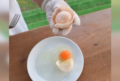 Yumurtanın içinden yumurta çıktı