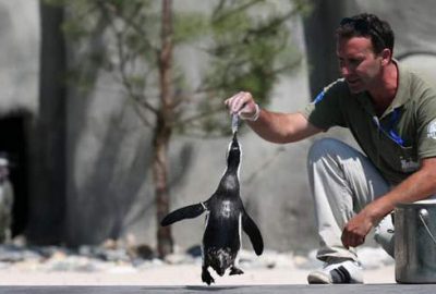 Bursa Hayvanat Bahçesi’ne bayram tatilinde yoğun ilgi