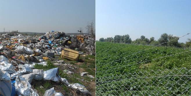 Bursa’da çöplükler yeşil alan oluyor