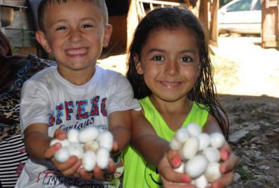 Kozanın uzun yolculuğu