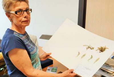 Uludağ’ın toprak anası