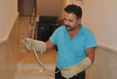 İnegöl’de apartmana giren yılan korkuttu