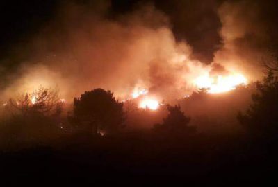 Datça’da orman yangını