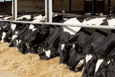 Gümrük vergileri düşürüldü