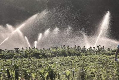 Yenişehir Ovası’nda sulama heyecanı
