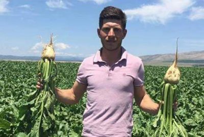 Pancar üreticisi bu yıl ’rekor’ bekliyor