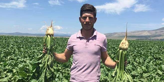 Pancar üreticisi bu yıl ’rekor’ bekliyor