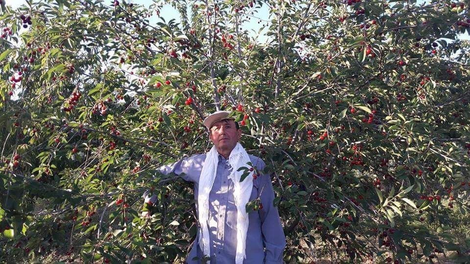 Başkan Bilaloğlu: 20 bin ton vişne bekliyoruz