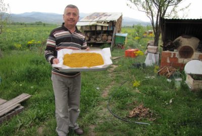 Hisarcık’ta uzun süren bahar polen üretimini arttırdı